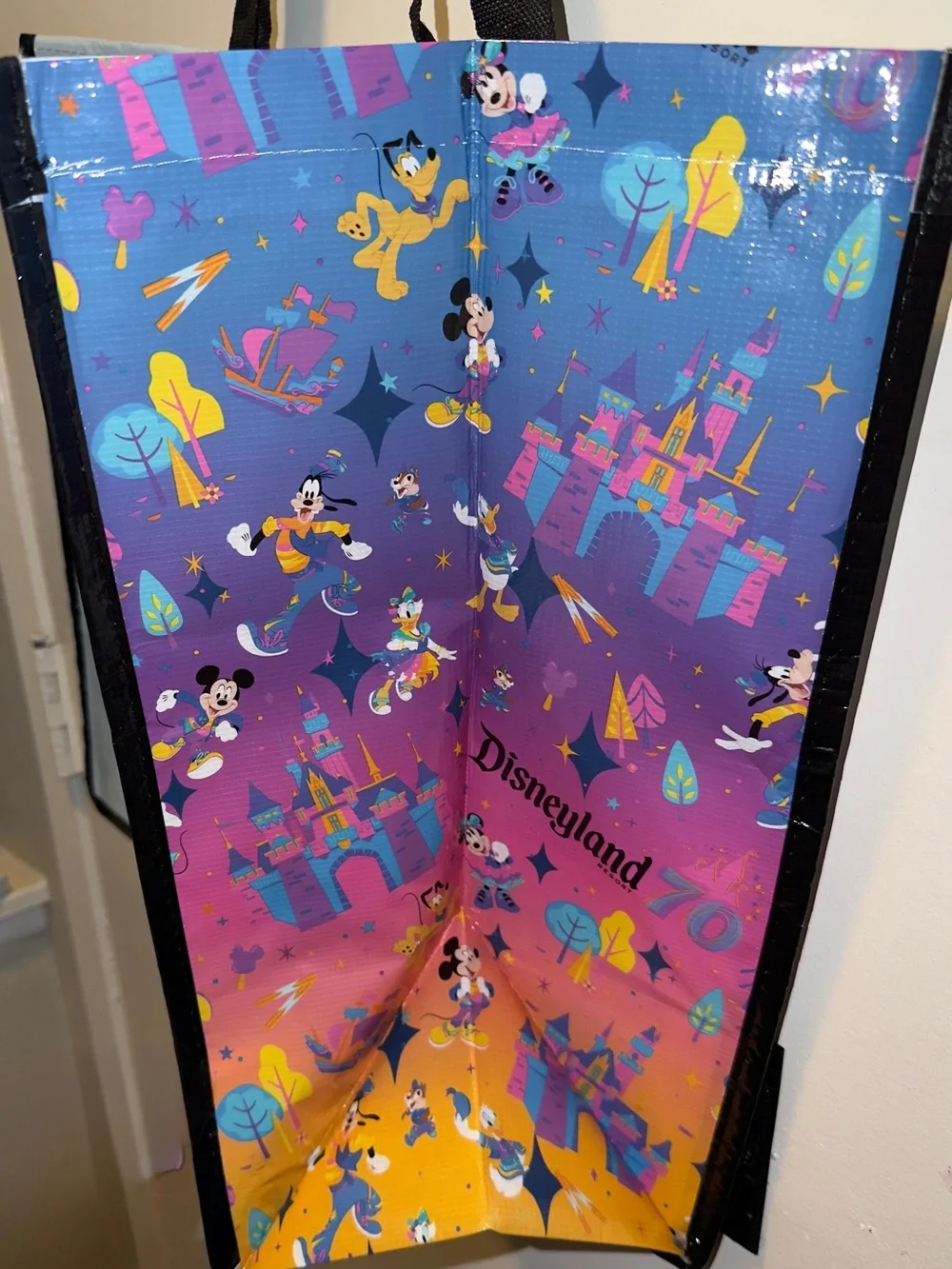 Disney Light Blue Disneyland 70 Character Tote Bag